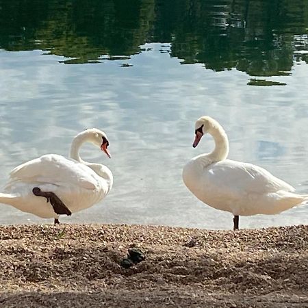 Apartman Put Svete Kate Raslina Esterno foto